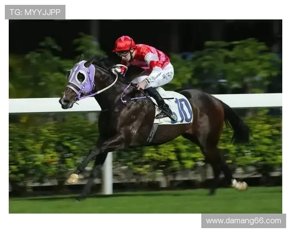 澳洲幸运5开奖结果最新公布,今日中奖号码查询 澳洲幸运5开奖结果最新公布,今日中奖号码查询